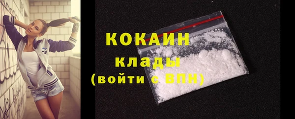 молекула духа Богородск