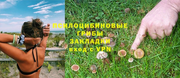 молекула духа Богородск