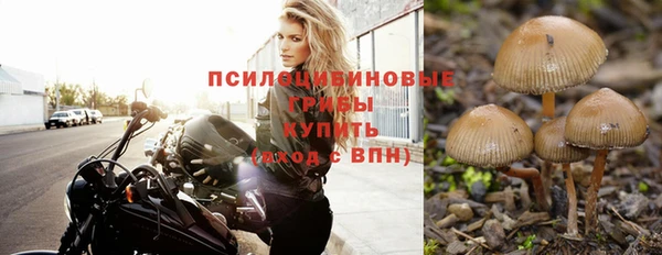 молекула духа Богородск