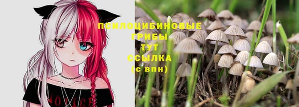 мет Богданович